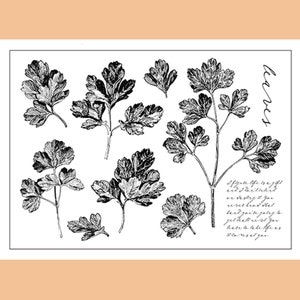 clear Stamp Set / Clear Stamps / parsley herbs garden flower wild leaves themed Transparent Stamp S34