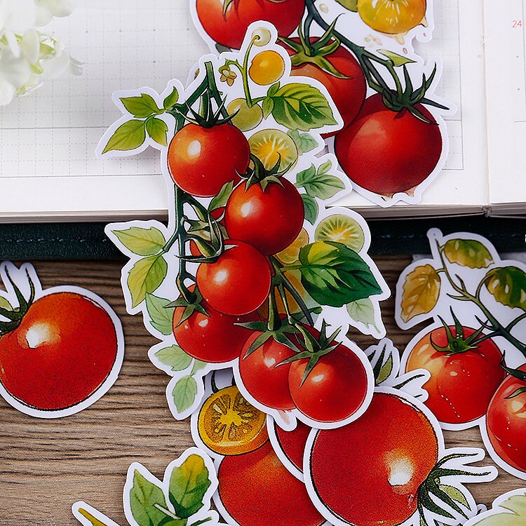 Tomato Source Sticker Design Tomato Watercolor Sticker | Vegetable Tomato Die Cut Stickers, ML05 - Etsy