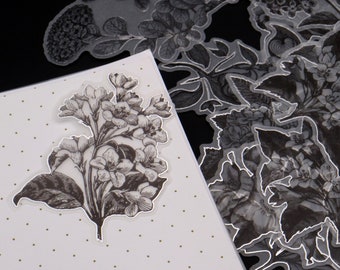flower sketch vellum sticker | Silver foil black white botanical sketching floral flower plant die cut stickers