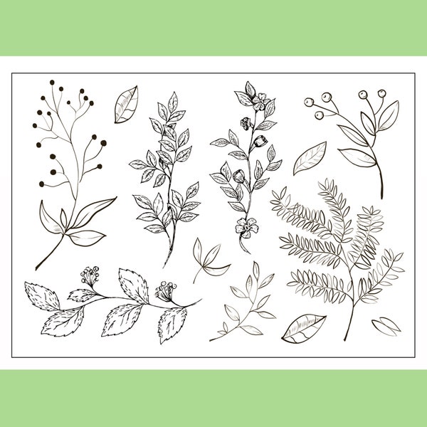 clear stamp set /clear stamps /leaf leaves tree botanical branch s28
