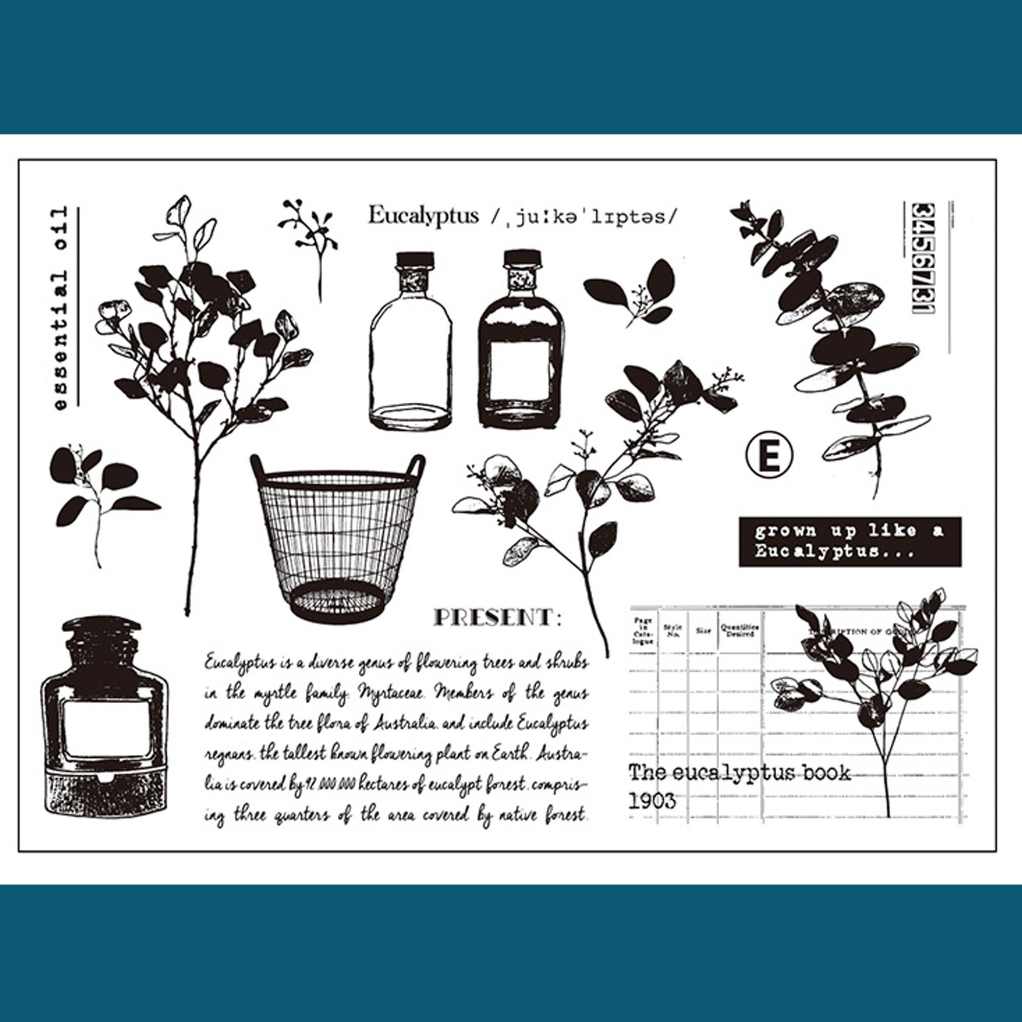 Clear Stamp Set / Clear Stamps / Eucalyptus Flower Plant Branches and ...
