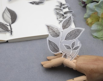 20pcs Flower sketch vellum sticker | Silver foil black white botanical sketching floral flower plant die cut stickers