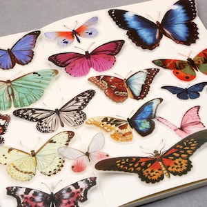 80pcs/Pack butterfly sticker | vellum stickers  butterfly Die Cut Stickers T03