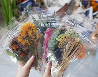 Extra-Large Dried Flowers clear stickers | PET Plant Specimen stickers | 6pcs/pack botanical floral  leaf leaves Dried Plant M02