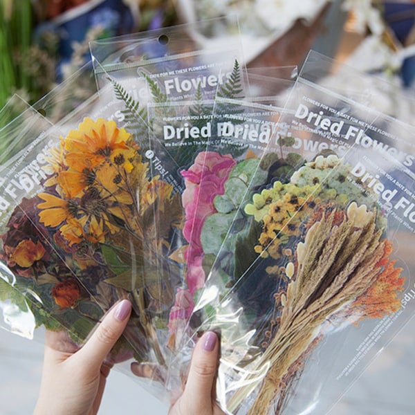 Extra-Large Dried Flowers clear stickers | PET Plant Specimen stickers | 6pcs/pack botanical floral  leaf leaves Dried Plant M02 sale09