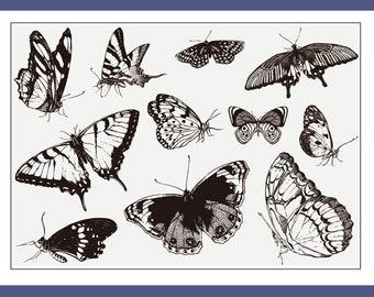 Cling Rubber Stamp Set / rubber stamps /  butterfly collection moth  theme m04 s20