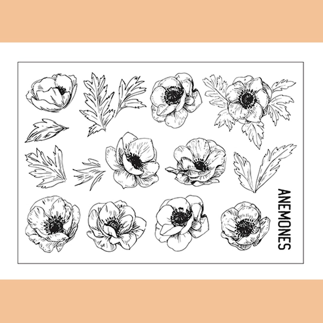 Clear Stamp Set / Clear Stamps / Beautiful Rosy Anemone Bulbs Flower ...
