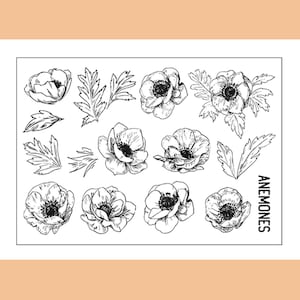 klares Stempel Set / Clear Stamps / Schöner rosiger Transparentstempel Anemone Blumenzwiebeln Blume Pflanze Zweige und Blätter S33