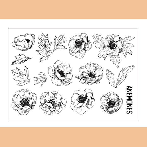 clear Stamp Set / Clear Stamps / Beautiful Rosy  Anemone Bulbs flower plant Branches and leaves themed Transparent Stamp S33