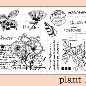 Conjunto de carimbo transparente/selos transparentes/cartão de planta com tema de flor, folha, carimbo postal, selos transparentes s13 HO08