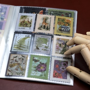 Livret d'autocollants PET | Livret de 20 feuilles d'autocollants à collage nature, fleurs de fougère, motifs assortis