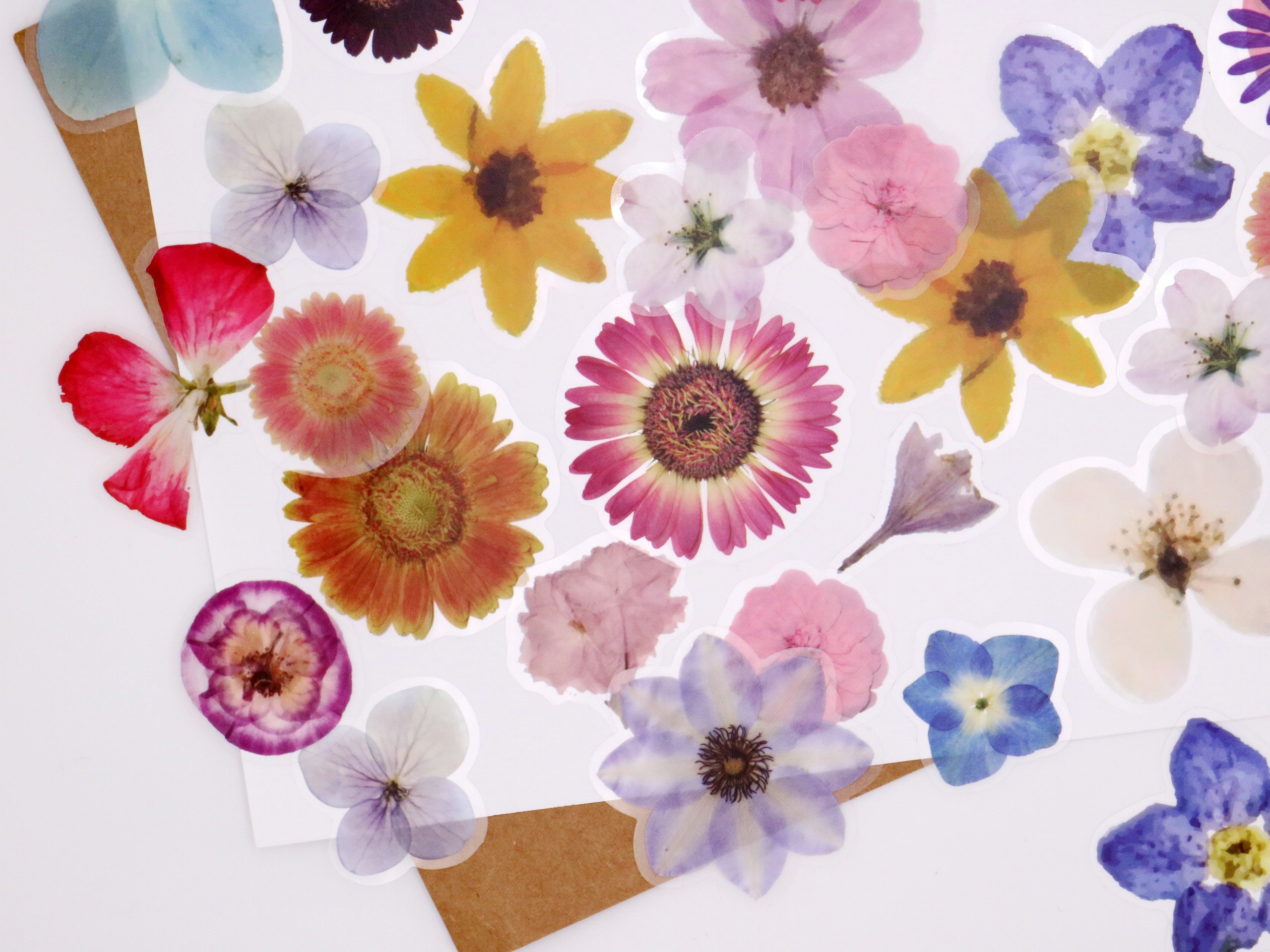 4 Feuilles De Transfert Céramique Sous Glaçure Motif Fleurs Sauvages - Découpe Personnalisable