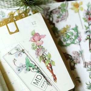 vintage flower vellum sticker | flower sticker clear Thin Stickers Pack~ flower, floral, fern, die cut stickers T03