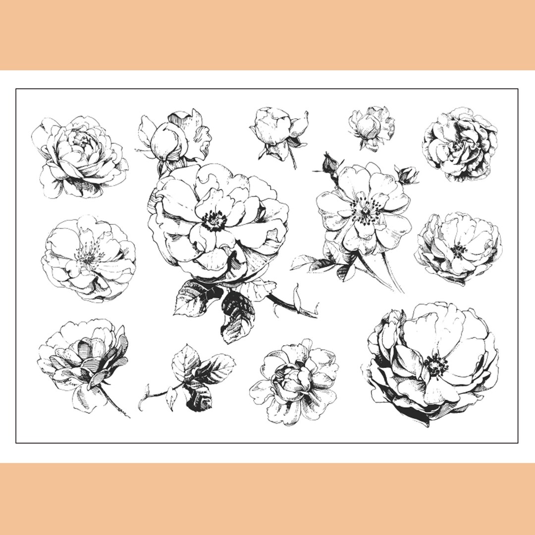 Clear Stamp Set / Clear Stamps / Wild Rose Flower Plant Branches and ...