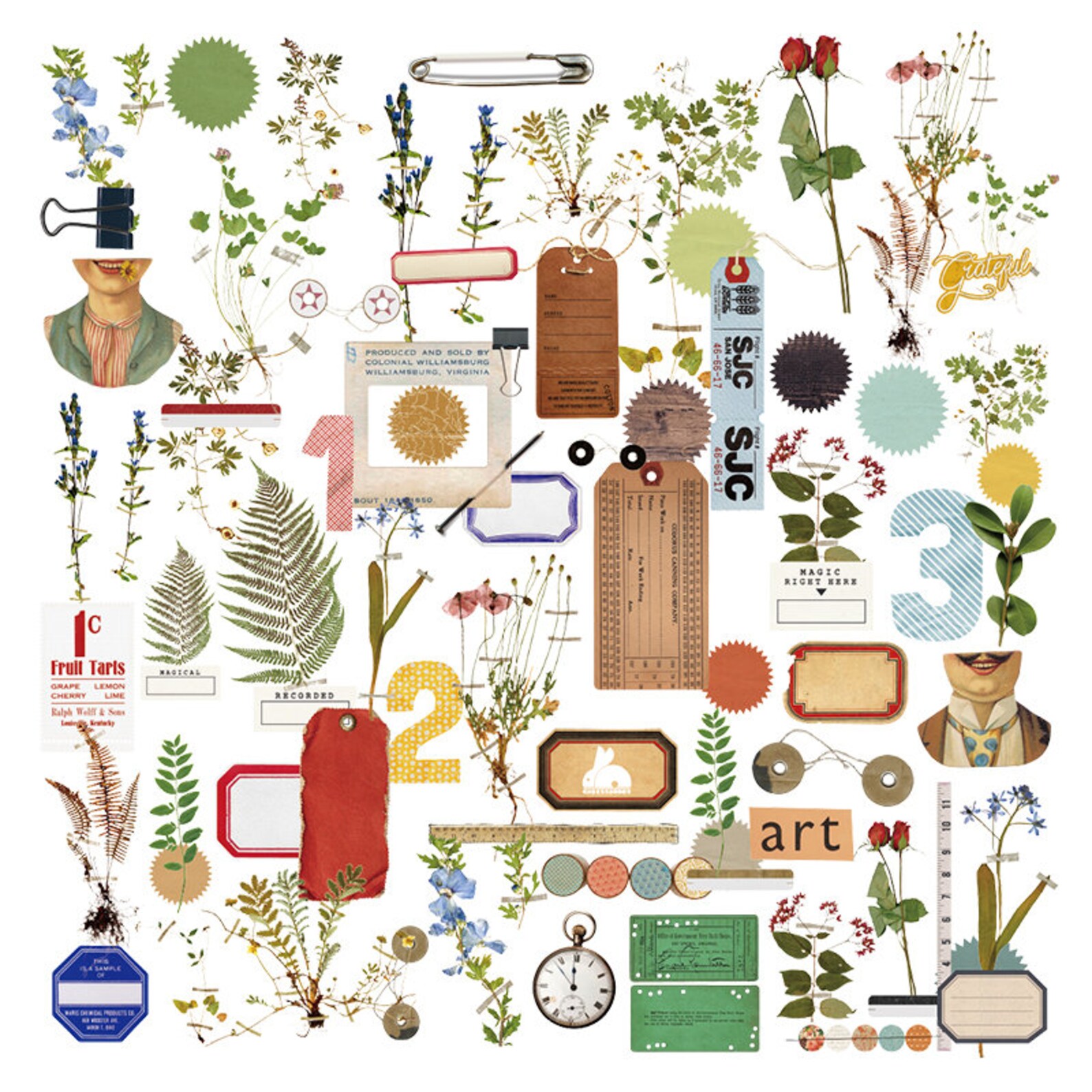 Botanical Vellum Sticker 75pcs/pack Vellum Texture Thin | Etsy