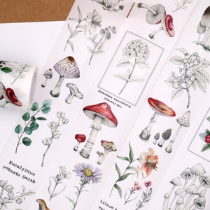 May include: Four rolls of clear washi tape with botanical illustrations. The designs include mushrooms, berries, flowers, and leaves. The tape is perfect for adding a touch of nature to your crafts and projects.