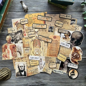 43 Stück/Packung vintage ANATOMISCHE EPHEMERA | menschliches Skelett Vintage altes Foto Plakat unter dem Motto Dekorative , weiße matte Ephemera Y06 SU-L