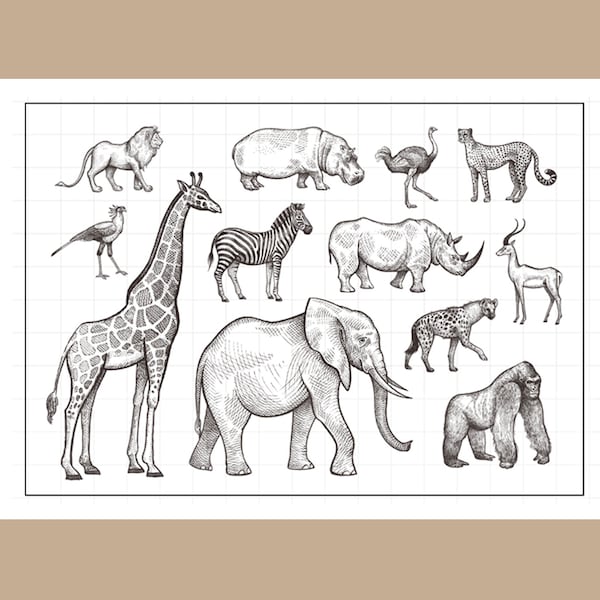 clear stamps set / animal clear stamp /lion, hippo, ostrich, jaguar, rhino, giraffe, zebra, elephant, gorilla S04