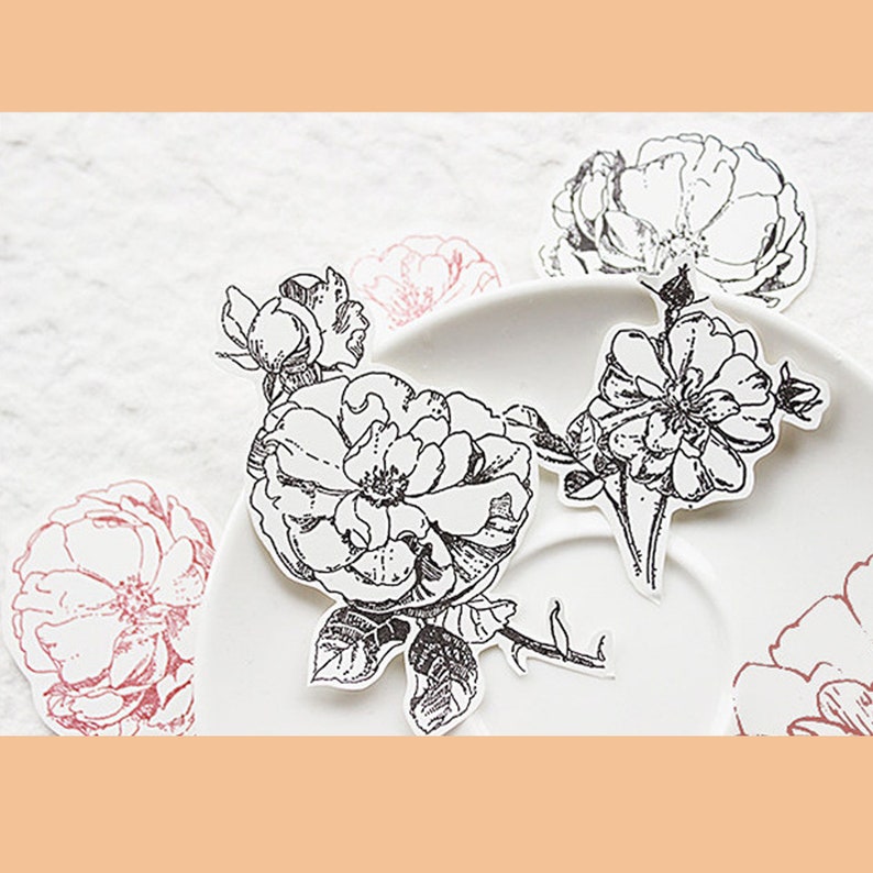 Clear Stamp Set / Clear Stamps / Wild Rose Flower Plant - Etsy