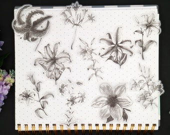 flower sketch vellum sticker | Silver foil black white botanical sketching floral flower plant die cut stickers