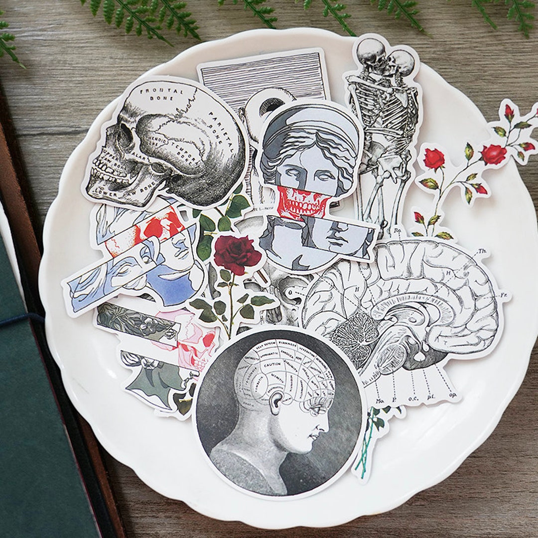 Sexy Bone Human Skeleton Skull~ S2 Bojo Sticker, Journal ...