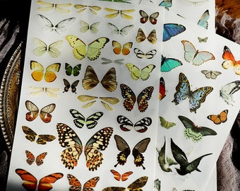 Rub-on stickers  | 3 sheets butterfly insect fly watercolor butterflies Rub On Transfer Stickers,  T03