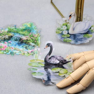 Pacchetto adesivi PET con fiori di cigno / Adesivi PET a tema con bellissime scene di stagno e foglie verdi