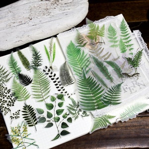 65pcs/Pack ferns plant stickers | fern Decorative Stickers, Die Cut Stickers  T03