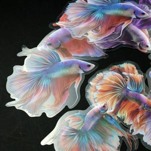 Może przedstawiać: Zestaw kolorowych, tęczowych naklejek z rybami. Ryby mają długie, falujące płetwy i ogony w odcieniach różowego, fioletowego, niebieskiego i pomarańczowego.