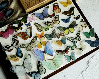 80pcs/Pack butterfly sticker vellum texture stickers  Die Cut Stickers T03 sale09