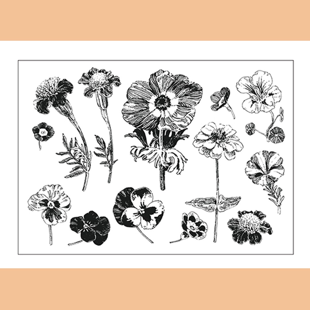 Clear Stamp Set / Clear Stamps / Flower Wild Flower Plant Branches ...