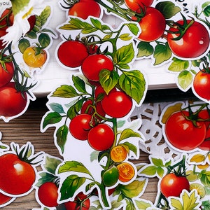 Tomato watercolor sticker | vegetable tomato Die Cut Stickers, ML05