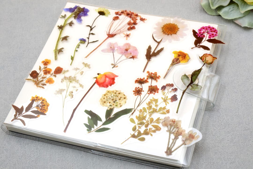 Pet Flower Stickers | 40pcs/pack Flower Botanical Garden Leave Rose Pet ...