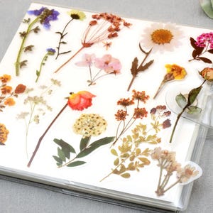 May include: A sheet of clear plastic with pressed flowers and leaves. The flowers are in various colors, including pink, yellow, orange, and brown. The leaves are green and brown.