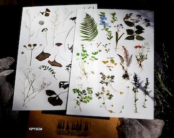 Rub-on stickers  | 2 sheets watercolor green leaf flower floral leaves  Rub On Transfer Stickers,  T03  T03-15