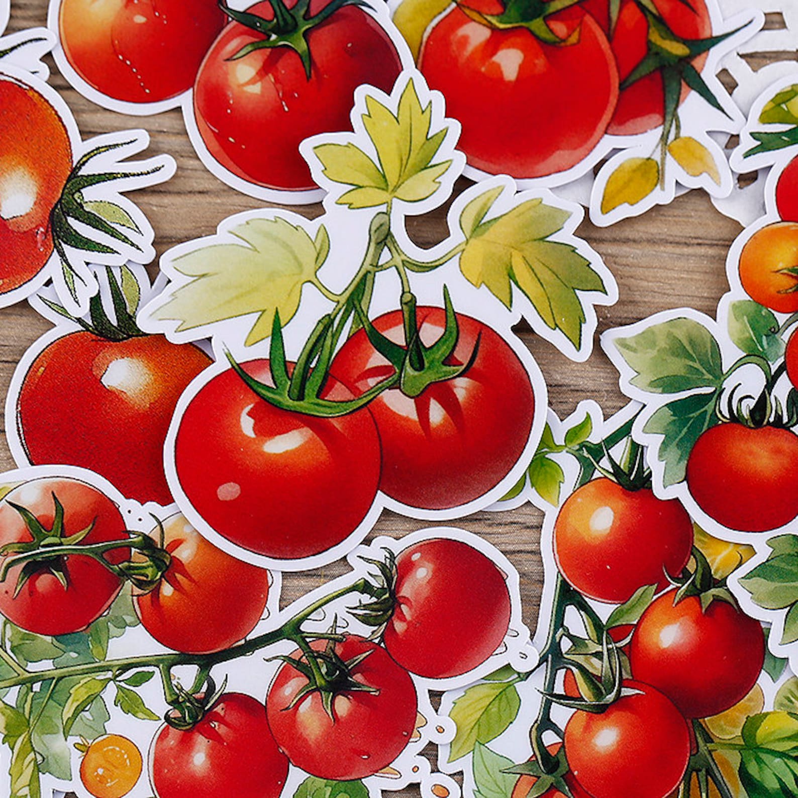 Tomato Source Sticker Design Tomato Watercolor Sticker | Vegetable Tomato Die Cut Stickers, ML05 - Etsy