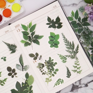 PET-stickers groene bladeren | 40 stks/pak botanisch plantblad PET-stickers met gedroogde planten M02 Tzb-S2