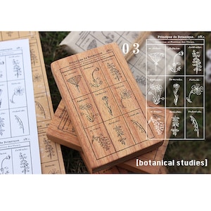Tampons en caoutchouc bois vintage études botaniques Tampon bois nature fleurs fruits baies. m04 HWS
