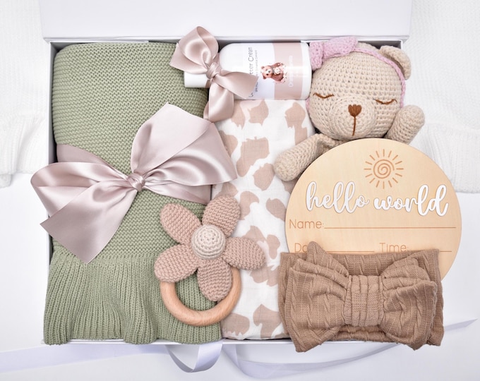Newborn Baby Girl Gift Basket, New Baby Girl Gift Box, Congratulations Mama, Baby Shower Gift Box, Knit Blanket, Crocheted Bear Lovey