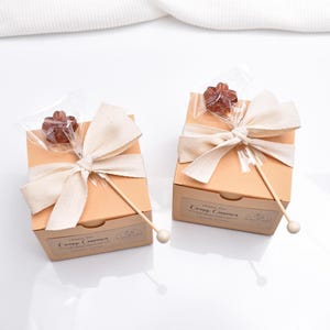 Organic Apple Cinnamon Tea, Orange Cinnamon Tea, Chai Tea, Rooibos Tea, Tea Bags, Organic Herbal Tea, Tea Lover, Tea Gifts, Christmas Gifts