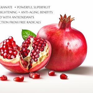 May include: A close-up of a red pomegranate cut open, revealing the juicy red seeds inside. The pomegranate is a powerful superfruit, loaded with antioxidants and known for its skin-brightening and anti-aging benefits. It offers protection from free radicals.