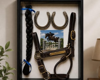 May include: A black shadow box frame containing a dark brown leather horse halter with a brass nameplate reading ENZO, two silver metal horseshoes, a long black braided horse tail tied with blue ribbons, and a photograph of a horse jumping.