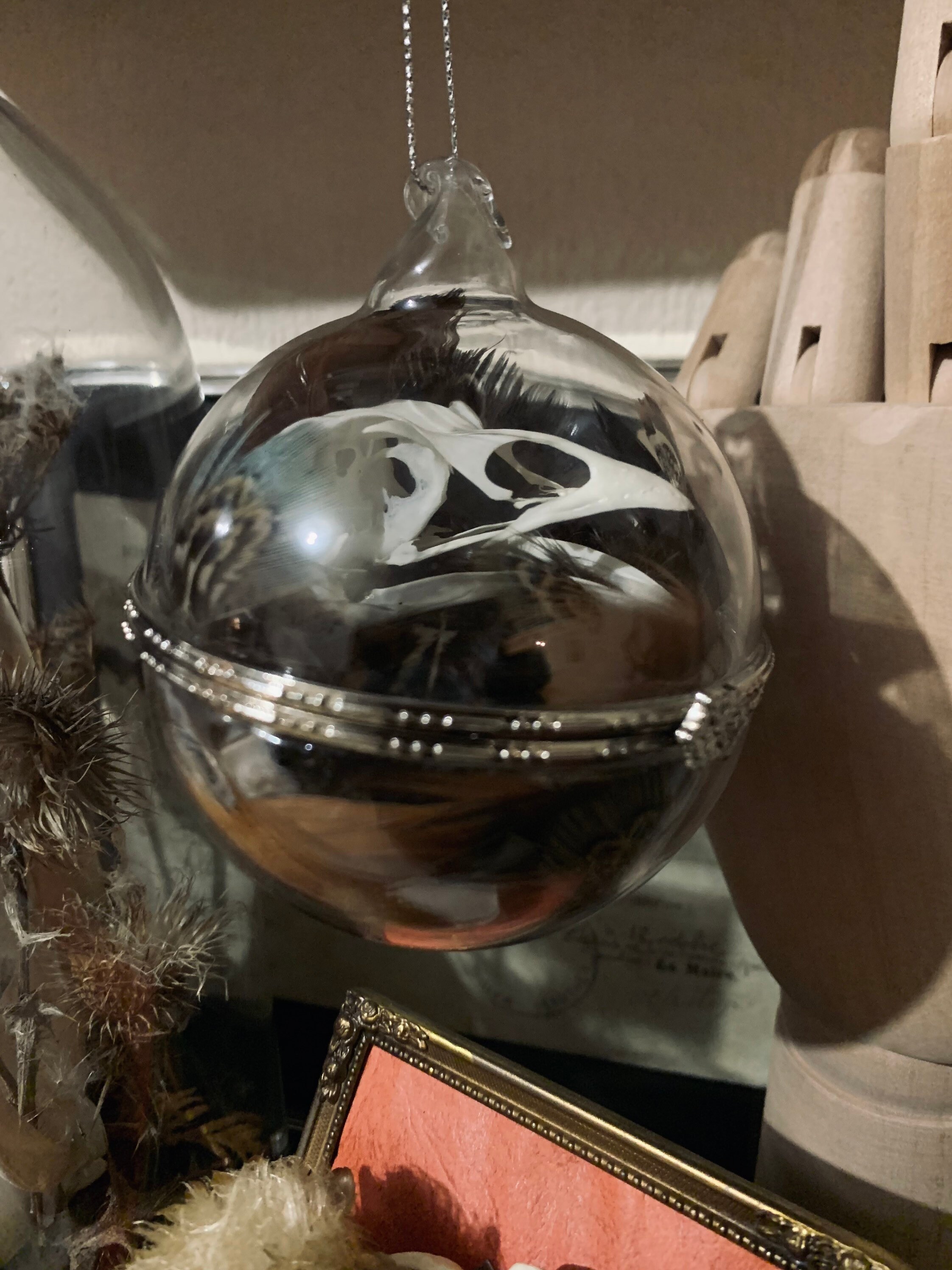 Boule Ornementale, Vrai Crâne de Phasianus Colchique | Faisan