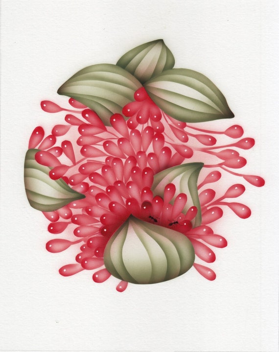 Genciana Roja flores ilustradas elegantes flores ilustradas - Etsy España Genciana Roja flores ilustradas elegantes flores ilustradas - Etsy España