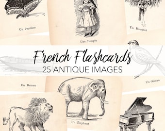Tarjetas didácticas antiguas vintage en francés, descarga digital / 25 tarjetas didácticas con imágenes y palabras / Animales para imprimir en la escuela / Diario basura, descarga instantánea