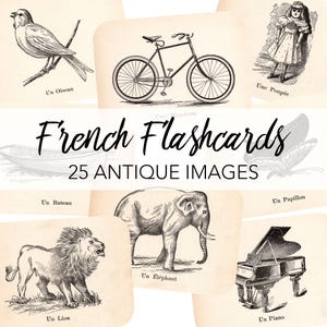 Tarjetas didácticas antiguas de francés vintage, descarga digital / 25 tarjetas didácticas con imágenes y palabras / Animales para imprimir en la escuela / Diario basura, descarga instantánea