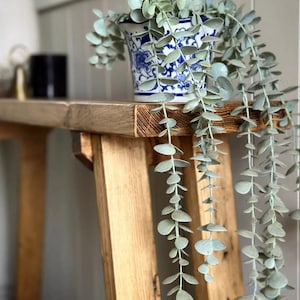 May include: A wooden table with a blue and white ceramic planter with a trailing plant with light green leaves.