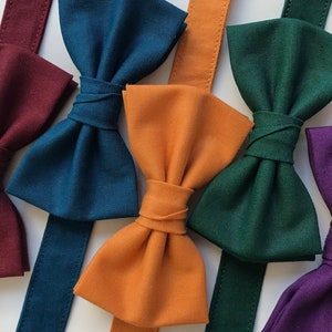Jewel tone wedding bow ties groomsmen, bow ties to match jewel tone bridesmaid dresses, jewel tone bow ties men, groomsmen bow ties pre tied image 1