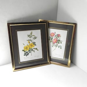 A Pair Of 1980s Gold Framed Rose Prints