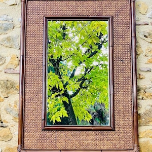 Vintage Mirror in Bamboo & Rattan, 1960&#39;s